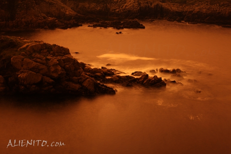 Alien Waters