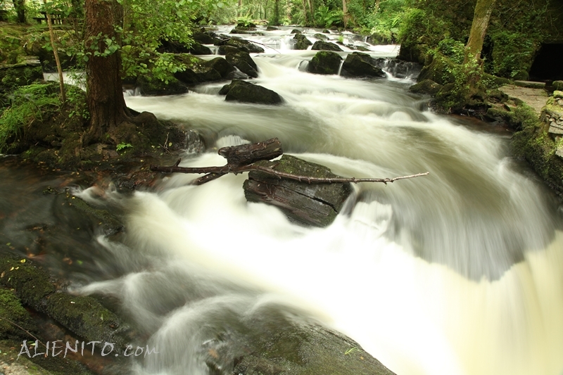 Water Fall